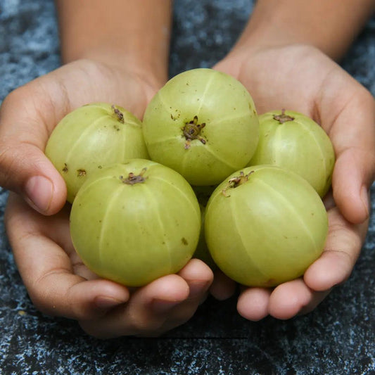 Amla Oil